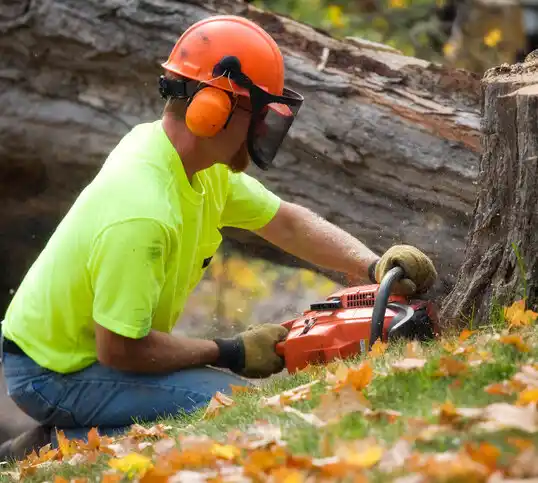 tree services Elizabeth City